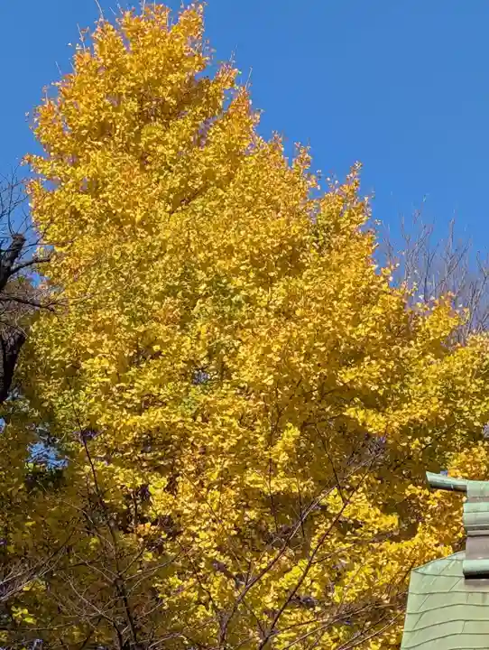 白幡八幡神社(神奈川県)