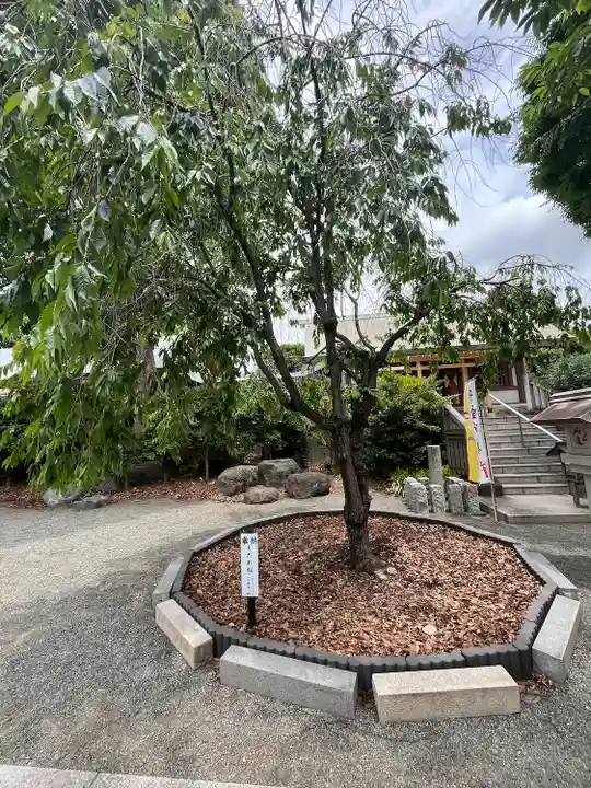伊勢原大神宮(神奈川県)