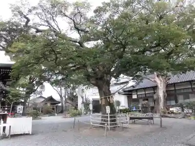 生根神社(大阪府)