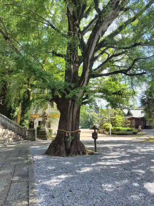 和霊神社(愛媛県)