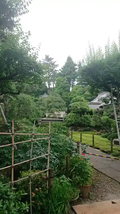東長谷寺 薬王院の庭園