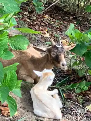楽法寺（雨引観音）(茨城県)