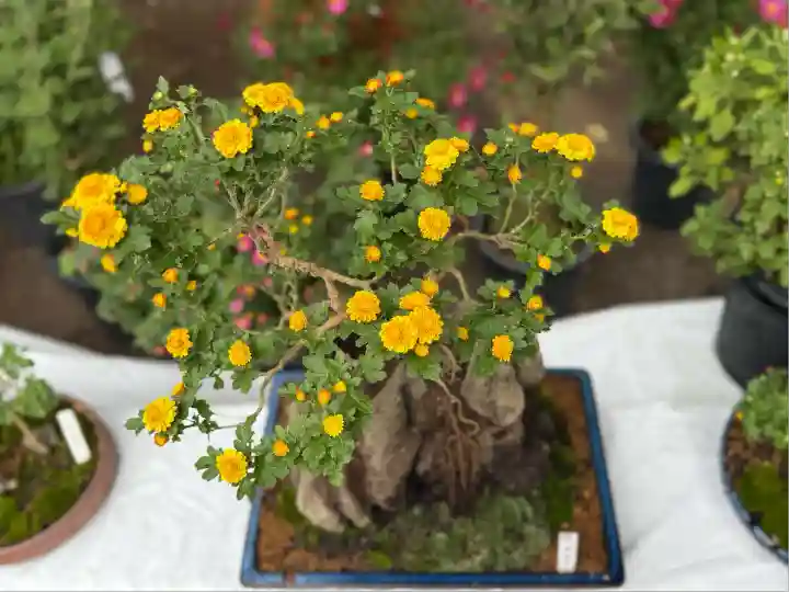 喜多院(埼玉県)