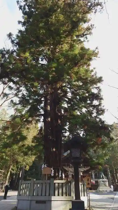 諏訪大社下社秋宮(長野県)