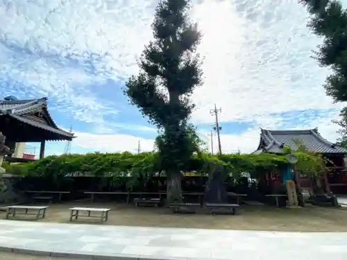 龍泉寺（足利厄除大師）のその他建物