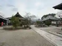 橘寺(奈良県)
