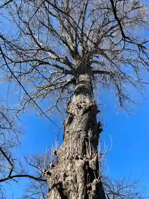 無量寺(東京都)