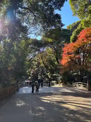 明治神宮(東京都)