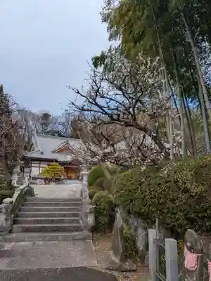 龍散寺(神奈川県)