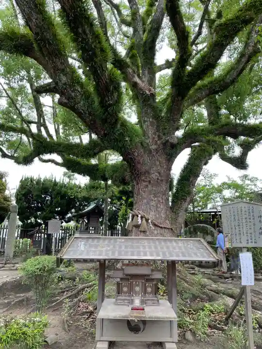 赤穂大石神社(兵庫県)