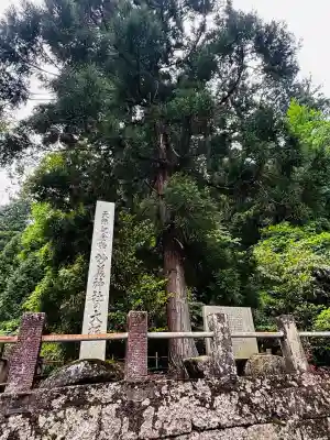 妙義神社の{uncategorized: "未分類", other: "その他", undefined: "問題あり", building: "その他建物", grave: "お墓", sacred_gate: "鳥居", guardian: "狛犬", statue: "像", buddha: "仏像", history: "歴史", nature: "自然", garden: "庭園", animal: "動物", pagoda: "塔", temizu: "手水舎", mountain_gate: "山門・神門", sanctuary: "本殿・本堂", subordinate: "末社・摂社", art: "芸術", scenery: "景色", jizo: "地蔵", ema: "絵馬", goshuin: "御朱印", omikuji: "おみくじ", items: "授与品その他", amulet: "お守り", goshuincho: "御朱印帳", eats: "食事", festival: "お祭り", votive_dance: "神楽", shichigosan: "七五三参", wedding: "結婚式", experience: "体験その他", initially: "初詣", around: "周辺", anti_infection: "感染症対策"}