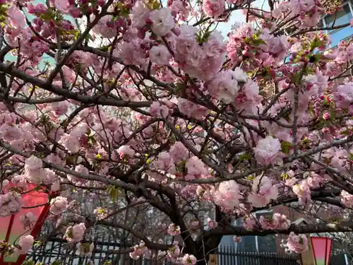 大阪天満宮(大阪府)