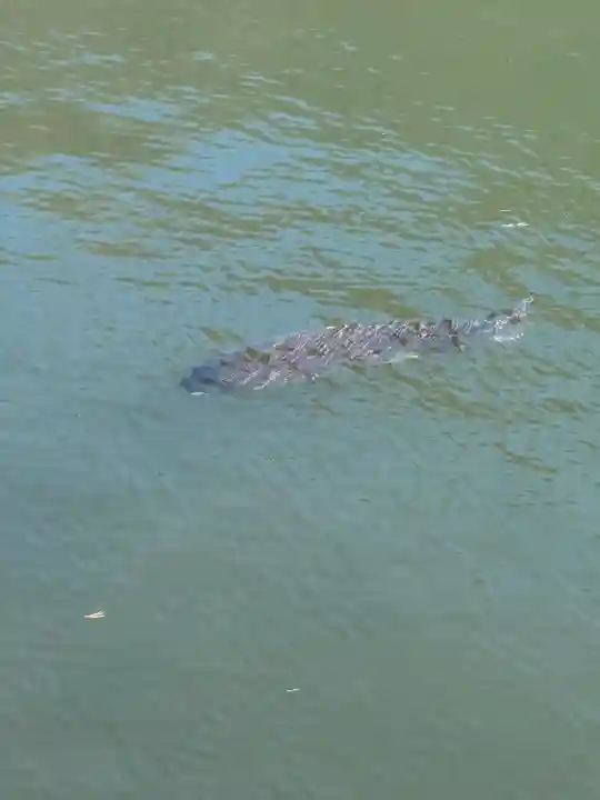 赤城神社(群馬県)