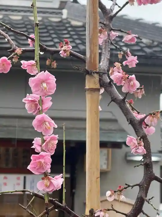 渋川神社(大阪府)