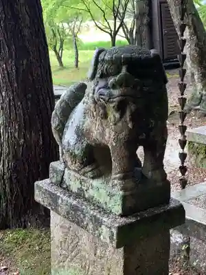 永井谷大歳神社の狛犬