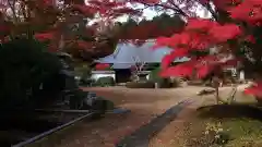 芳徳寺の景色