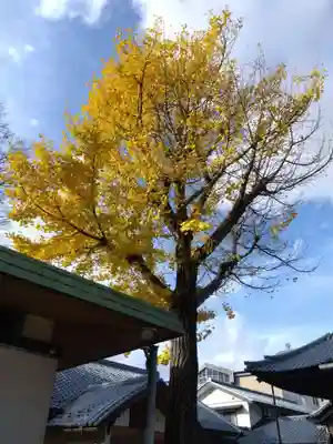 長慶寺(福井県)