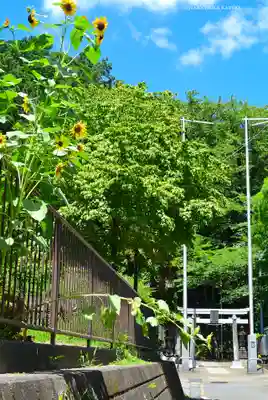杉山神社(神奈川県)