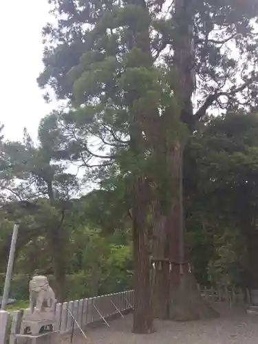 彌美神社(福井県)
