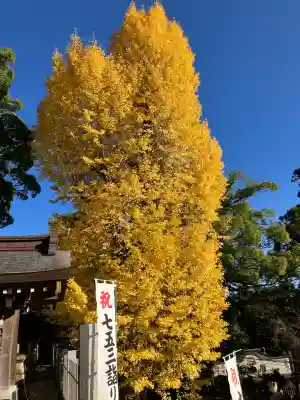 筑波山神社(茨城県)