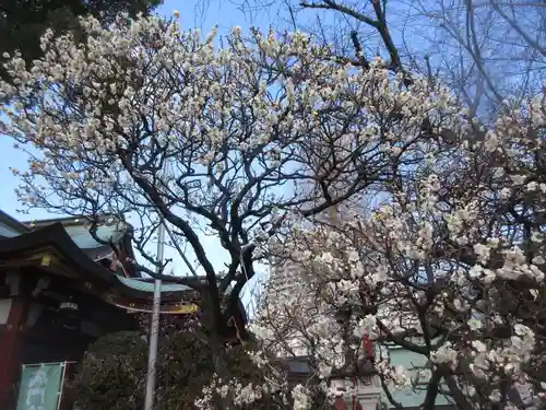 居木神社(東京都)