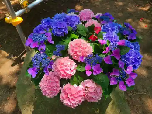 筥崎宮(福岡県)