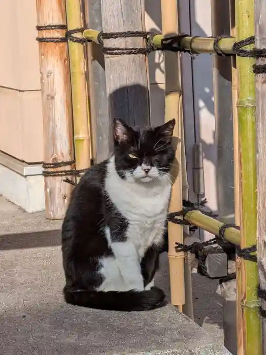 白金氷川神社(東京都)
