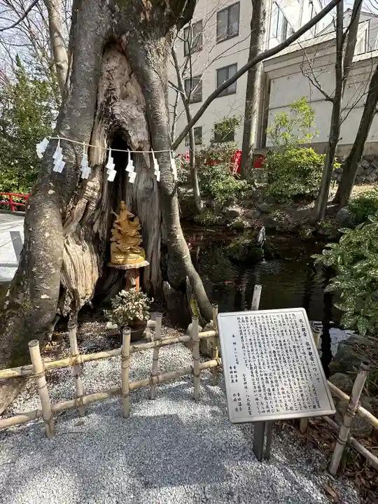 秩父今宮神社(埼玉県)