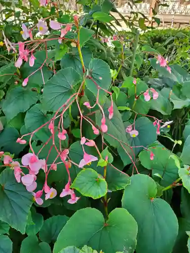 沙沙貴神社(滋賀県)