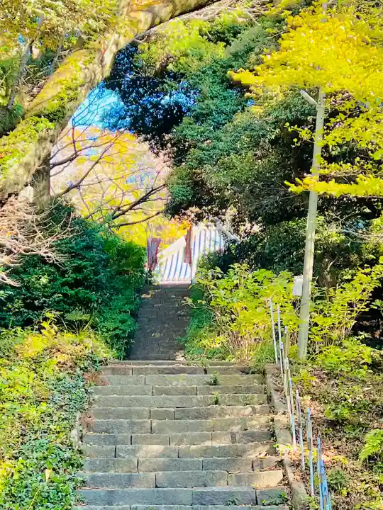 清滝寺の{uncategorized: "未分類", other: "その他", undefined: "問題あり", building: "その他建物", grave: "お墓", sacred_gate: "鳥居", guardian: "狛犬", statue: "像", buddha: "仏像", history: "歴史", nature: "自然", garden: "庭園", animal: "動物", pagoda: "塔", temizu: "手水舎", mountain_gate: "山門・神門", sanctuary: "本殿・本堂", subordinate: "末社・摂社", art: "芸術", scenery: "景色", jizo: "地蔵", ema: "絵馬", goshuin: "御朱印", omikuji: "おみくじ", items: "授与品その他", amulet: "お守り", goshuincho: "御朱印帳", eats: "食事", festival: "お祭り", votive_dance: "神楽", shichigosan: "七五三参", wedding: "結婚式", experience: "体験その他", initially: "初詣", around: "周辺", anti_infection: "感染症対策"}