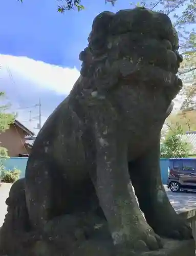 前玉神社の狛犬