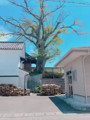 神炊館神社 ⁂奥州須賀川総鎮守⁂(福島県)