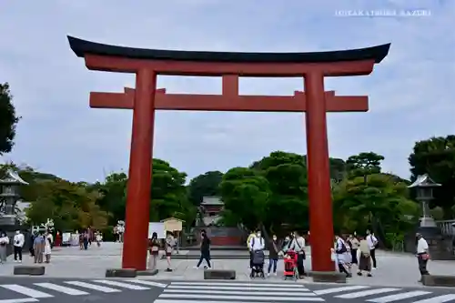 鶴岡八幡宮の鳥居