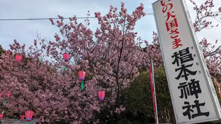 椙本神社の自然