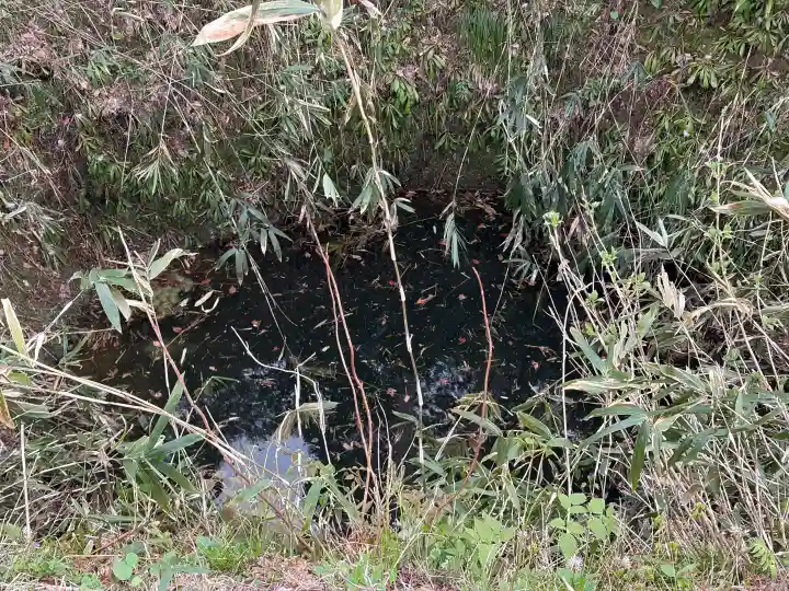 春日山神社の{uncategorized: "未分類", other: "その他", undefined: "問題あり", building: "その他建物", grave: "お墓", sacred_gate: "鳥居", guardian: "狛犬", statue: "像", buddha: "仏像", history: "歴史", nature: "自然", garden: "庭園", animal: "動物", pagoda: "塔", temizu: "手水舎", mountain_gate: "山門・神門", sanctuary: "本殿・本堂", subordinate: "末社・摂社", art: "芸術", scenery: "景色", jizo: "地蔵", ema: "絵馬", goshuin: "御朱印", omikuji: "おみくじ", items: "授与品その他", amulet: "お守り", goshuincho: "御朱印帳", eats: "食事", festival: "お祭り", votive_dance: "神楽", shichigosan: "七五三参", wedding: "結婚式", experience: "体験その他", initially: "初詣", around: "周辺", anti_infection: "感染症対策"}