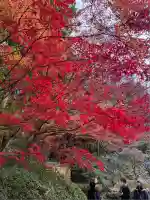 明月院(神奈川県)