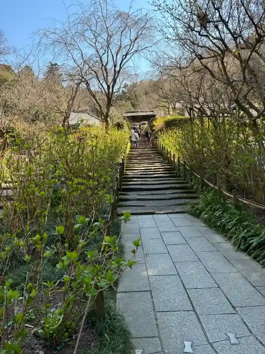 明月院の{uncategorized: "未分類", other: "その他", undefined: "問題あり", building: "その他建物", grave: "お墓", sacred_gate: "鳥居", guardian: "狛犬", statue: "像", buddha: "仏像", history: "歴史", nature: "自然", garden: "庭園", animal: "動物", pagoda: "塔", temizu: "手水舎", mountain_gate: "山門・神門", sanctuary: "本殿・本堂", subordinate: "末社・摂社", art: "芸術", scenery: "景色", jizo: "地蔵", ema: "絵馬", goshuin: "御朱印", omikuji: "おみくじ", items: "授与品その他", amulet: "お守り", goshuincho: "御朱印帳", eats: "食事", festival: "お祭り", votive_dance: "神楽", shichigosan: "七五三参", wedding: "結婚式", experience: "体験その他", initially: "初詣", around: "周辺", anti_infection: "感染症対策"}