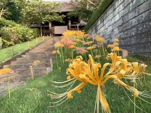 横浜　西方寺の庭園