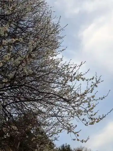 石内のお大師さん　金剛院(広島県)