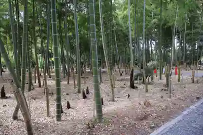 芳賀天満宮(栃木県)