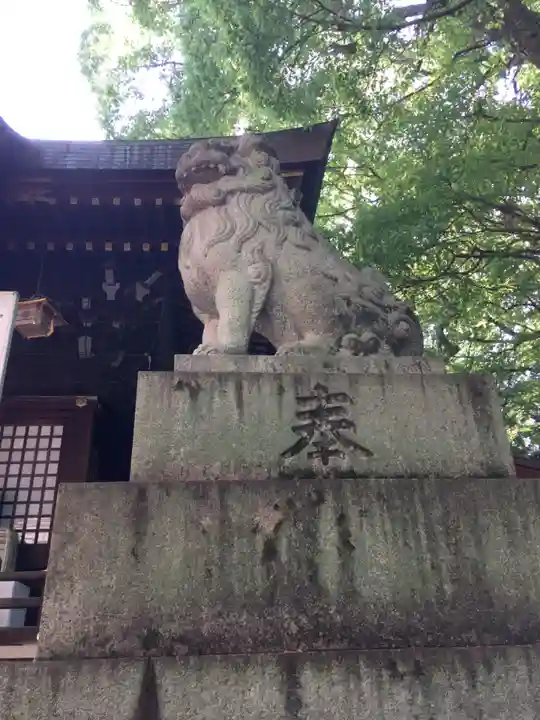 大宮八幡宮の狛犬