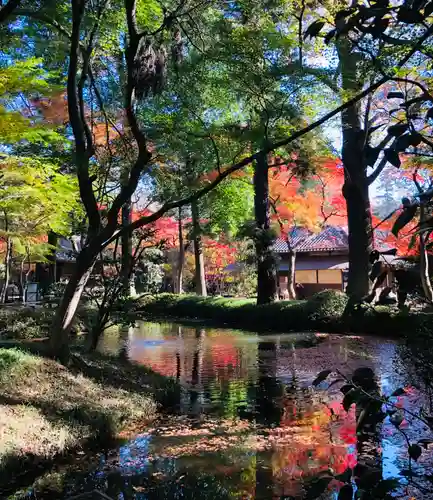 平林寺の庭園