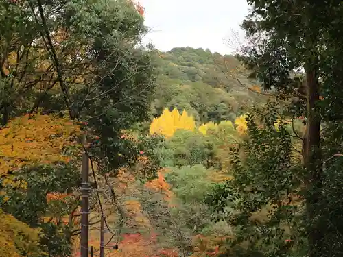 今熊野観音寺の自然