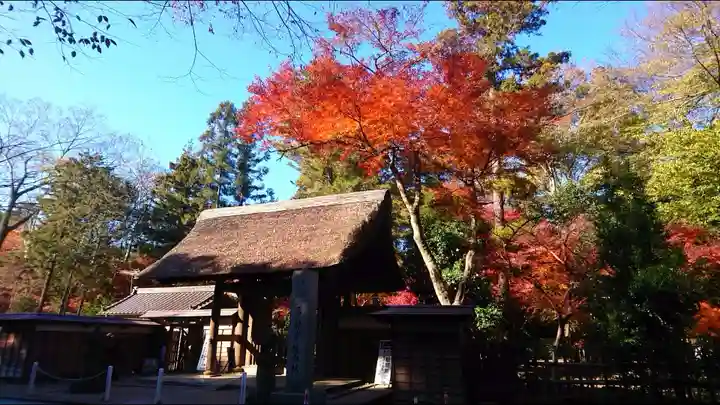 平林寺の末社・摂社