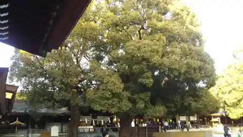 明治神宮の自然