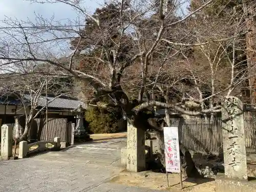 一乗寺の{uncategorized: "未分類", other: "その他", undefined: "問題あり", building: "その他建物", grave: "お墓", sacred_gate: "鳥居", guardian: "狛犬", statue: "像", buddha: "仏像", history: "歴史", nature: "自然", garden: "庭園", animal: "動物", pagoda: "塔", temizu: "手水舎", mountain_gate: "山門・神門", sanctuary: "本殿・本堂", subordinate: "末社・摂社", art: "芸術", scenery: "景色", jizo: "地蔵", ema: "絵馬", goshuin: "御朱印", omikuji: "おみくじ", items: "授与品その他", amulet: "お守り", goshuincho: "御朱印帳", eats: "食事", festival: "お祭り", votive_dance: "神楽", shichigosan: "七五三参", wedding: "結婚式", experience: "体験その他", initially: "初詣", around: "周辺", anti_infection: "感染症対策"}