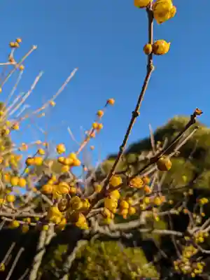 蓮光寺(東京都)