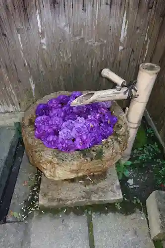 柳谷観音　楊谷寺の手水舎