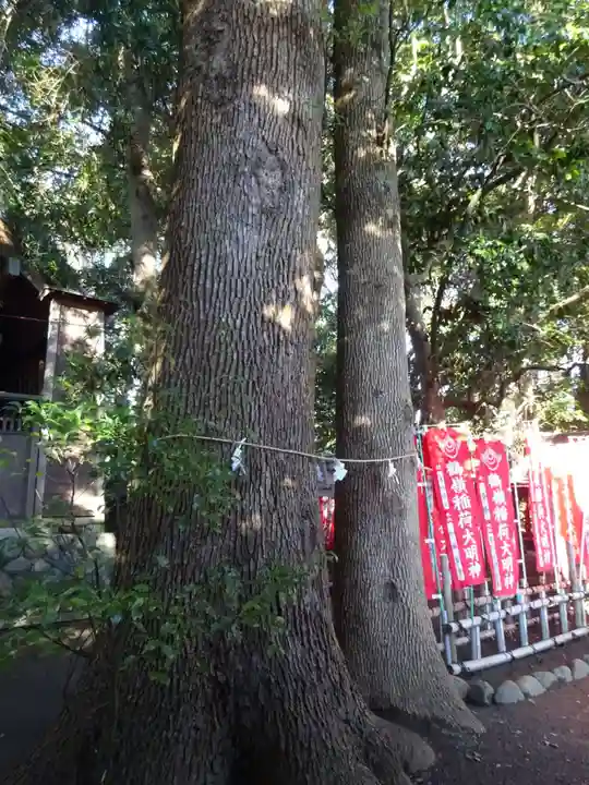 鶴嶺八幡宮の自然
