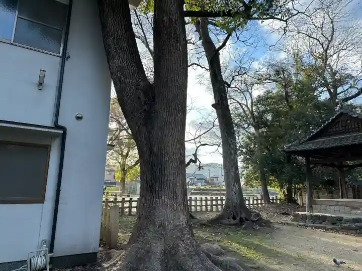 梅津太神宮の{uncategorized: "未分類", other: "その他", undefined: "問題あり", building: "その他建物", grave: "お墓", sacred_gate: "鳥居", guardian: "狛犬", statue: "像", buddha: "仏像", history: "歴史", nature: "自然", garden: "庭園", animal: "動物", pagoda: "塔", temizu: "手水舎", mountain_gate: "山門・神門", sanctuary: "本殿・本堂", subordinate: "末社・摂社", art: "芸術", scenery: "景色", jizo: "地蔵", ema: "絵馬", goshuin: "御朱印", omikuji: "おみくじ", items: "授与品その他", amulet: "お守り", goshuincho: "御朱印帳", eats: "食事", festival: "お祭り", votive_dance: "神楽", shichigosan: "七五三参", wedding: "結婚式", experience: "体験その他", initially: "初詣", around: "周辺", anti_infection: "感染症対策"}